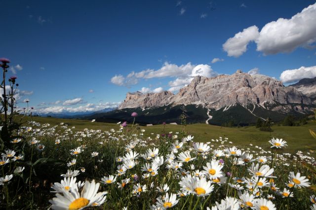 Alta Badia nel cuore delle Dolomiti Immagine: Alta Badia